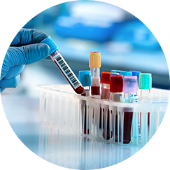 medical checkup homepage